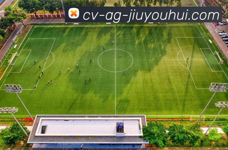 九游会AGGAMES官网发展历程